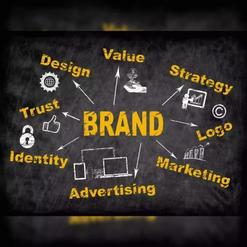 5465465.webp Brand Identity Review