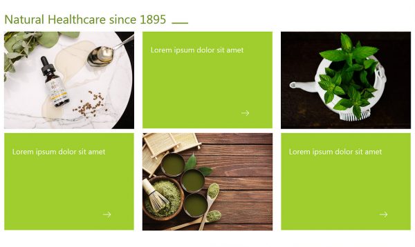 home2-o.jpg Dr. Sigmund - Wordpress Theme