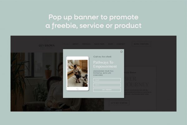 lily-cm-listing-07-o.jpg Life Coach Elementor Template Kit